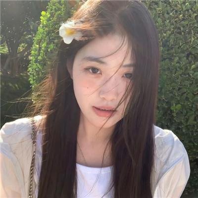 公主复仇者